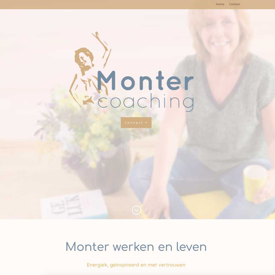 Website Monter