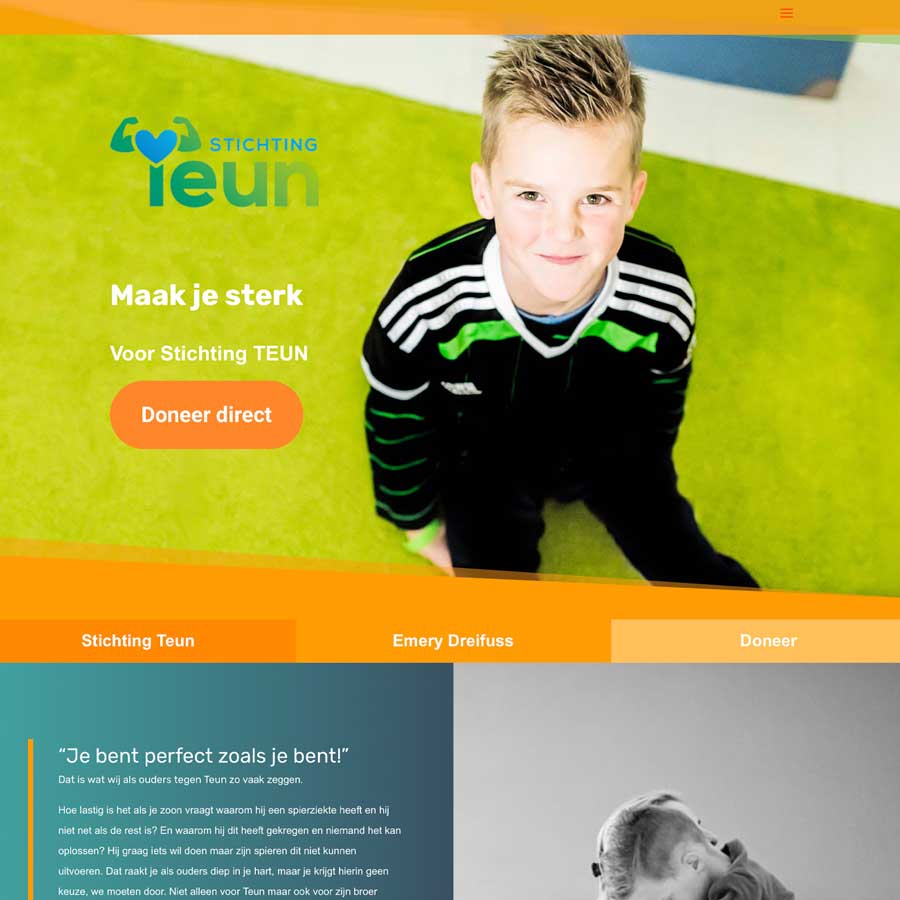 Website Stichting Teun